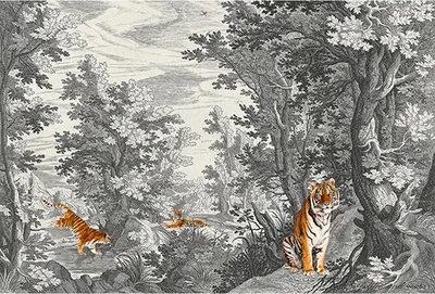 Produktbild von Tadessi Fototapete | Tiger | 4.00 m  x 2.70 m | Grau | Orange | Wandbild | Digitaldruck