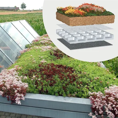 Obrázok produktu pre BauderGREEN Gründachpaket light 80kg/m² - 18m²