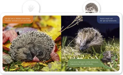Obrázok produktu pre Mein kleines Tier-Lexikon - Der Igel