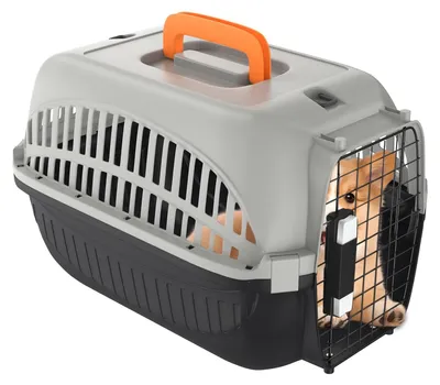 Produktbild von Transportbox für Katzen und Hunde, 48 x 32 x 32 cm