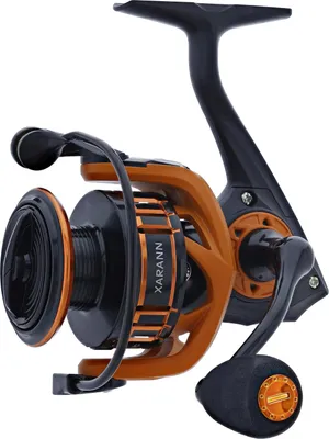 Zdjęcie produktu dla Kinetic Xarann