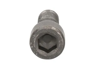 Obrázek produktu pro KS TOOLS Schraube M22 x 60 mm 440.0366