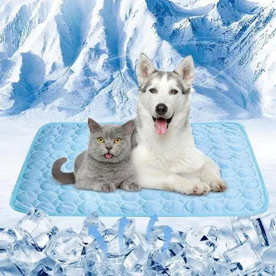 Produktbild von Famanu Kühlmatte für Hunde 55 x 70 cm - Waschbar und strapazierfähig