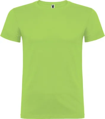 Productafbeelding van Roly - "Beagle" T-shirt voor heren, korte mouwen, model PF4341 (maat S) (Oasegroen)