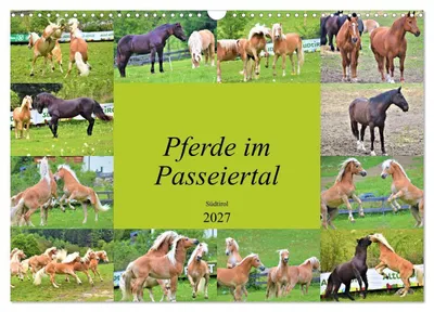 Produktbild von Pferde im Passeiertal (Wandkalender 2027 DIN A3 quer), CALVENDO Monatskalender