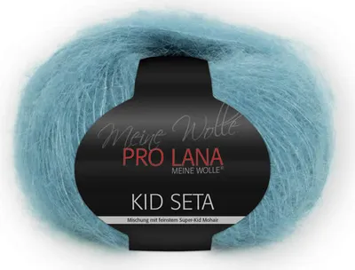 Produktbild von Pro Lana Kid Seta Uni 25g (65)