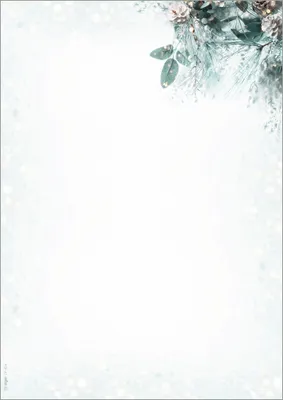 Produktbild von SIGEL DP424 Weihnachts-Motiv-Papier "Eucalyptus magic" - grün, weiß, braun - 90 g/m² - A4 - 100 Blatt