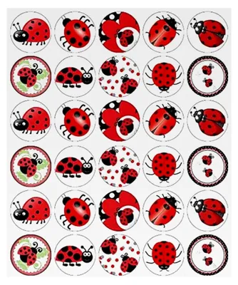Produktbild von 30 Marienkäfer Insekten Käfer Cupcake Toppers Essbare Oblatenpapier für Kuchen