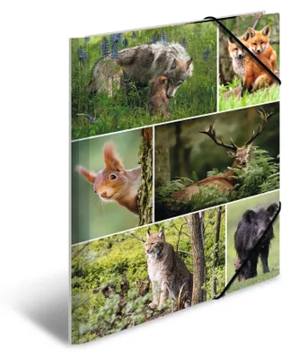 Image de Classeur A4 en carton « Animaux de la forêt », lot de 3