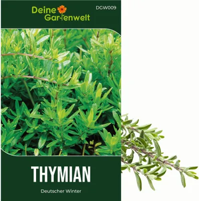 Produktbild von Thymian Deutscher Winter Samen - Thymus vulgaris - Thymiansamen - Kräutersamen - Saatgut für 150 Pflanzen