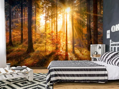 Produktbild von Vlies Fototapete Wald 3D Landschaft Natur Grün Bäume Sonnenuntergang 400x280 cm – Moderne Vliestapete, Tapete für Wohnzimmer, Flur f-A-0246-a-c