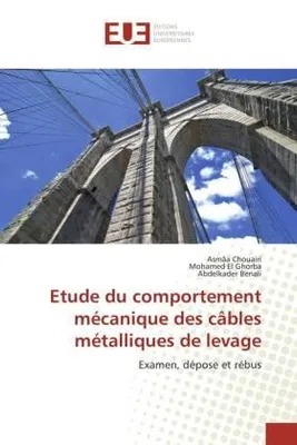 Produktbild von Etude du comportement mécanique des câbles métalliques de levage