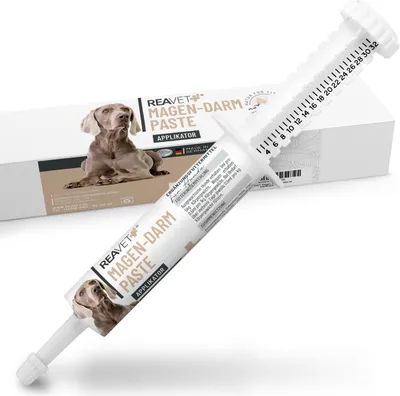 Produktbild von REAVET Magen-Darm Paste für Hunde 30ml (ehem. Diar Stop Paste) I Zur Unterstützung der Verdauung – Mit wichtigen Elektrolyten und probiotischer Hefe