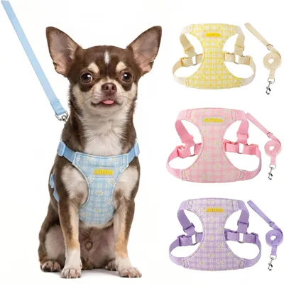 Productafbeelding van Harnas en Lijnset voor Kleine Honden, Verstelbaar en Ademend, Blauw, S