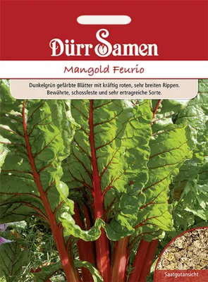 Produktbild von Dürr-Samen - Mangold Feurio - Saatgut - 0997