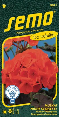 Obrázek produktu pro Semo Pelargonie páskatá - Night Scarlet F1 11s