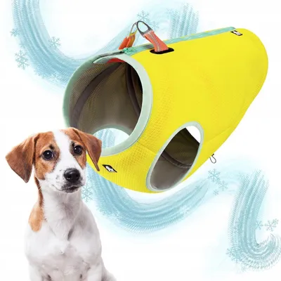 Produktbild von Truelove Hunde Kühlweste Orange XS atmungsaktiv sicher