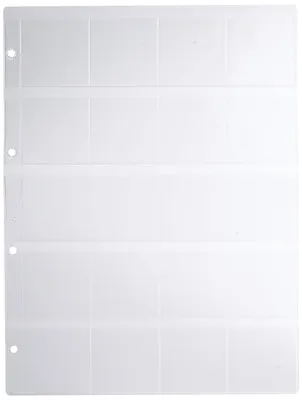 10 Klarsichthüllen, 20 Fächer, A4, 238 x 315 mm