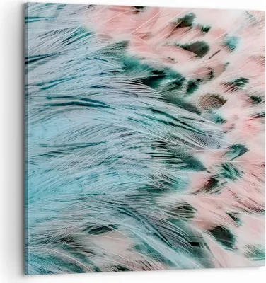 Produktbild von Bild auf Leinwand - Leinwandbild - Federn Federn Vogel - 60x60cm - Wand Bild - Wanddeko - Wandbilder - Leinwanddruck - Bilder - Kunstdruck - Wanddekoration - Leinwand bilder - Wandkunst - AC60x60-3742