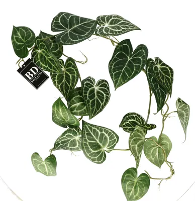 Produktbild von Bellatio Design Kunstpflanze/hangepflanzengirlande - Eukalyptus - grun - 109 cm