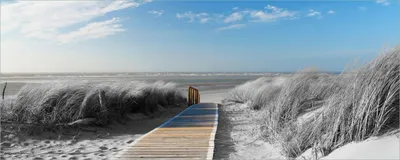 Produktbild von Wallario selbstklebendes Poster - Auf dem Holzweg zum Strand in schwarz-weiß Optik, Größe: 50 x 125 cm