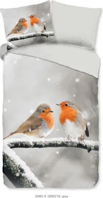 Produktbild von Guten Morgen Bettbezug "Rotborst Vögel im Schnee" - grau - (140x200/220 cm) - Baumwolle 100% Flanell