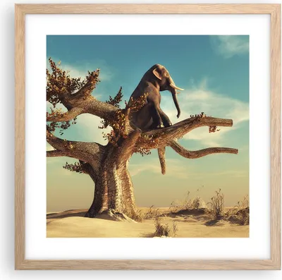 Produktbild von Gerahmtes Poster - Rahmen in heller Eiche - Sitzen Elefant Baum - 40x40 cm - Wand Bild - Wanddeko - Wandbilder - Wandposter - Bilderrahmen - Bilder - Kunstdruck - Wandbild - P2NAC40x40-4345