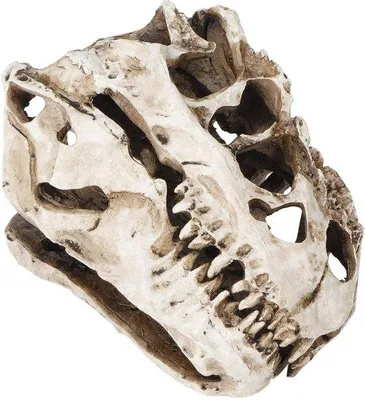 Zdjęcie produktu dla Halloweenowa dekoracja z żywicy w kształcie dinozaura