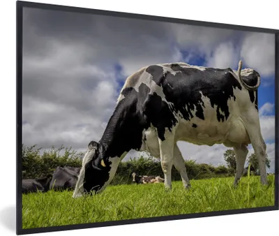 Produktbild von MuchoWow® Gerahmtes Poster Kuh - Gras - Schwanz - Tiere 90x60 cm - Poster mit Schwarzem Bilderrahmen Wandposter Rahmen Foto Bilder - Fotorahmen - Foto-Plakat