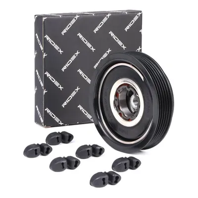 Produktbild von RIDEX 1236M0031 Magnetkupplung Klimakompressor passend für MERCEDES-BENZ A-Klasse (W169) Klimaanlage A/C