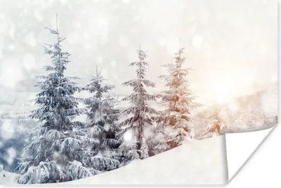 Produktbild von MuchoWow® Poster Baum - Schnee - Winter 120x80 cm - Bilder
