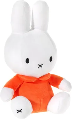 Produktbild von Miffy Orange