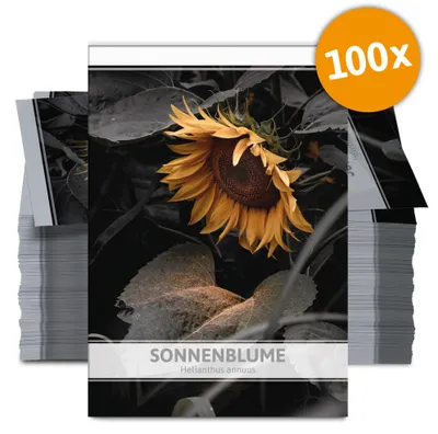 Artikelbild 2 von 'Sonnenblume für Werbezwecke (100 Tütchen)' aus der Kategorie Vorteilspackungen
