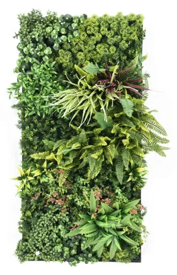 Image de Flora - Tableau végétal 100x50 cm avec feuilles et fleurs en PE cadre en PVC noir