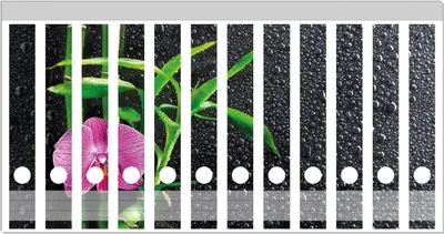 Produktbild von Wallario Ordnerrücken Sticker, selbstklebend für schmale Ordner, 12 Stück, Motiv Bambus und pinke Orchidee auf schwarzem Glas mit Regentropfen