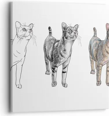 Produktbild von Bild auf Leinwand - Leinwandbild - Katzen Tiere Kinder Illustration - 40x40cm - Wand Bild - Wanddeko - Leinwanddruck - Bilder - Kunstdruck - Wanddekoration - Leinwand bilder - Wandkunst - AC40x40-3211