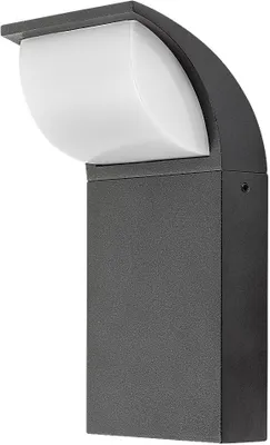 Image de Rabalux Black LED luminaire Hongkong 9W IP65 7166