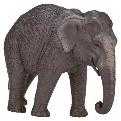 Immagine prodotto di Elefante asiatico Mojo Wildlife 387266