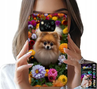Image de Étui pour Xiaomi Poco X3 - Adorable chien, étui Pomeranian + verre