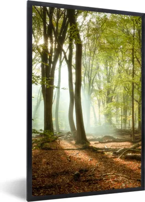 Produktbild von MuchoWow® Gerahmtes Poster Wald - Sonne - Jahreszeiten - Landschaft 60x90 cm - Poster mit Schwarzem Bilderrahmen Wandposter Rahmen Foto Bilder - Kunst