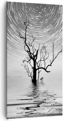 Produktbild von Bild auf Leinwand - Leinwandbild - Einteilig - Schwarzweiß Baum See - 65x120cm - Wand Bild - Wanddeko - Wandbilder - Leinwanddruck - Bilder - Wanddekoration - Leinwand bilder - PA65x120-4253