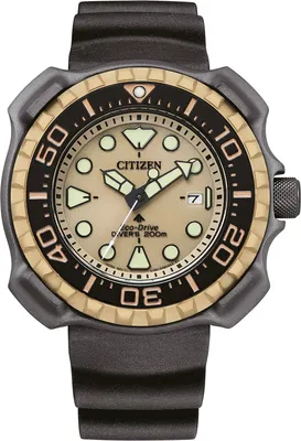 Citizen BN0226-10P Promaster Eco-Drive Herren-Taucheruhr Titan/Beige 1