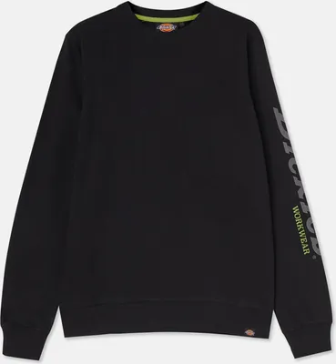 Zdjęcie produktu dla Bluza męska Dickies OKEMO (SH3014)