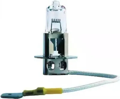 Image de Lampe de projecteur halogène Philips Master Duty 24 V H 3