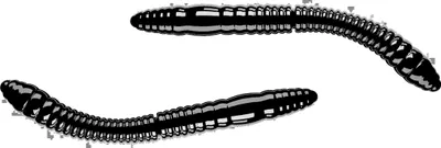Obrázok produktu pre Turnaj LIBRA LURES FATTY D'WORM: 040 Čierna