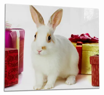 Produktbild von Wallario Herdabdeckplatte aus Glas, Größe 60 x 52 cm 1-teilig, Motiv Süßes Kaninchen mit bunten Geschenken