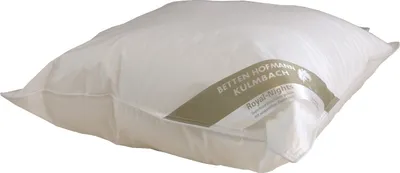 Produktbild von Hofmann Franken Kissen Kopfkissen Federkissen 65x65 cm 15% Daunen 700g waschbar