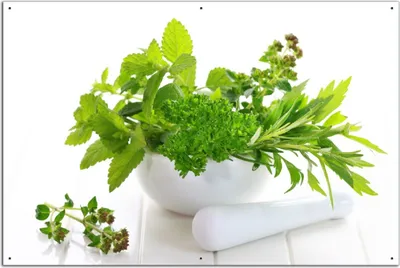 Produktbild von Wallario Outdoor-Poster für Garten oder Balkon, Motiv Welt der Kräuter - verschiedene Kräuter in einem weißen Mörser, in ca. 61 x 91,50 cm