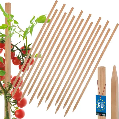 Image de KOTARBAU® 15 Pièces Tuteur Tomate Bois de Hêtre 60 cm Naturel Tuteur Plante Piquet de Jardin Poteau Bois Piquet Tomate Support Plante Grimpante
