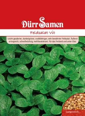 Produktbild von Feldsalat Vit | Feldsalatsamen von Dürr Samen